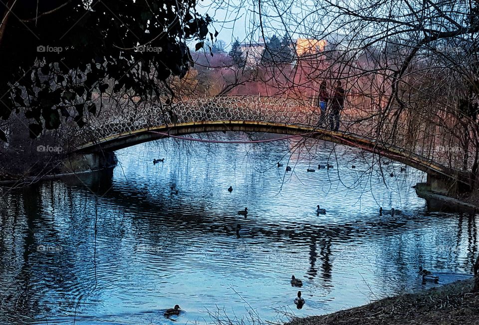 Moments freezed in photos