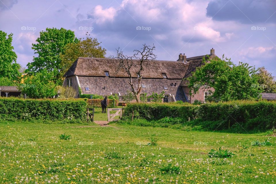 Dutch countryside with horse by old farmhouse against clouded sky.