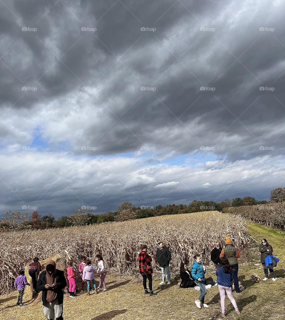 Fall day at apple picking farm , angry dark cloud coming in on a beautiful sunny autumn day.  Corn maze , people , photo taken from moving tractor 