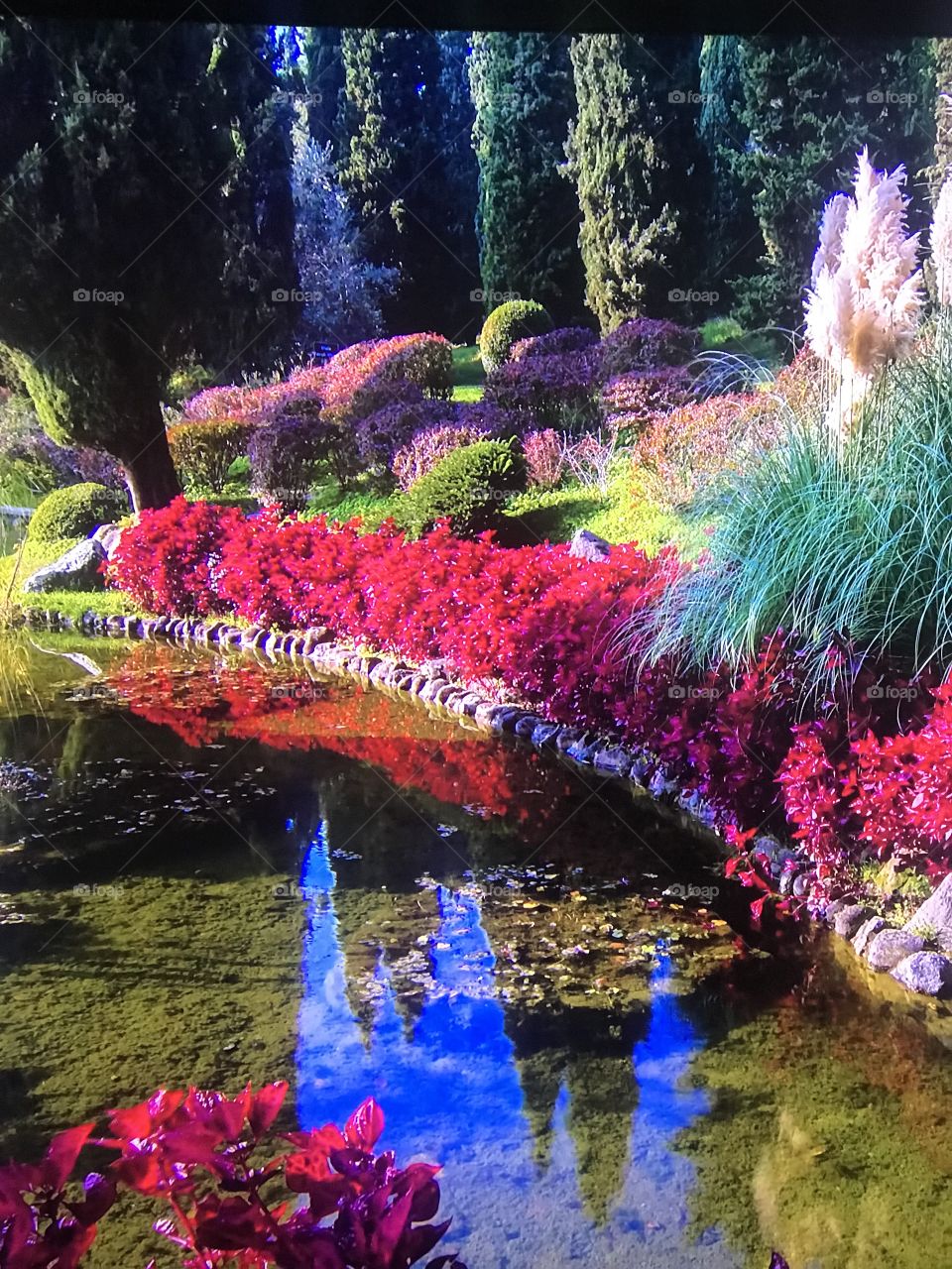 Japanese American park