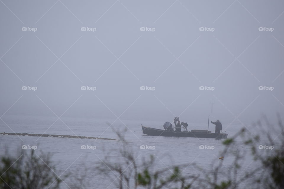 Florida in the Morning