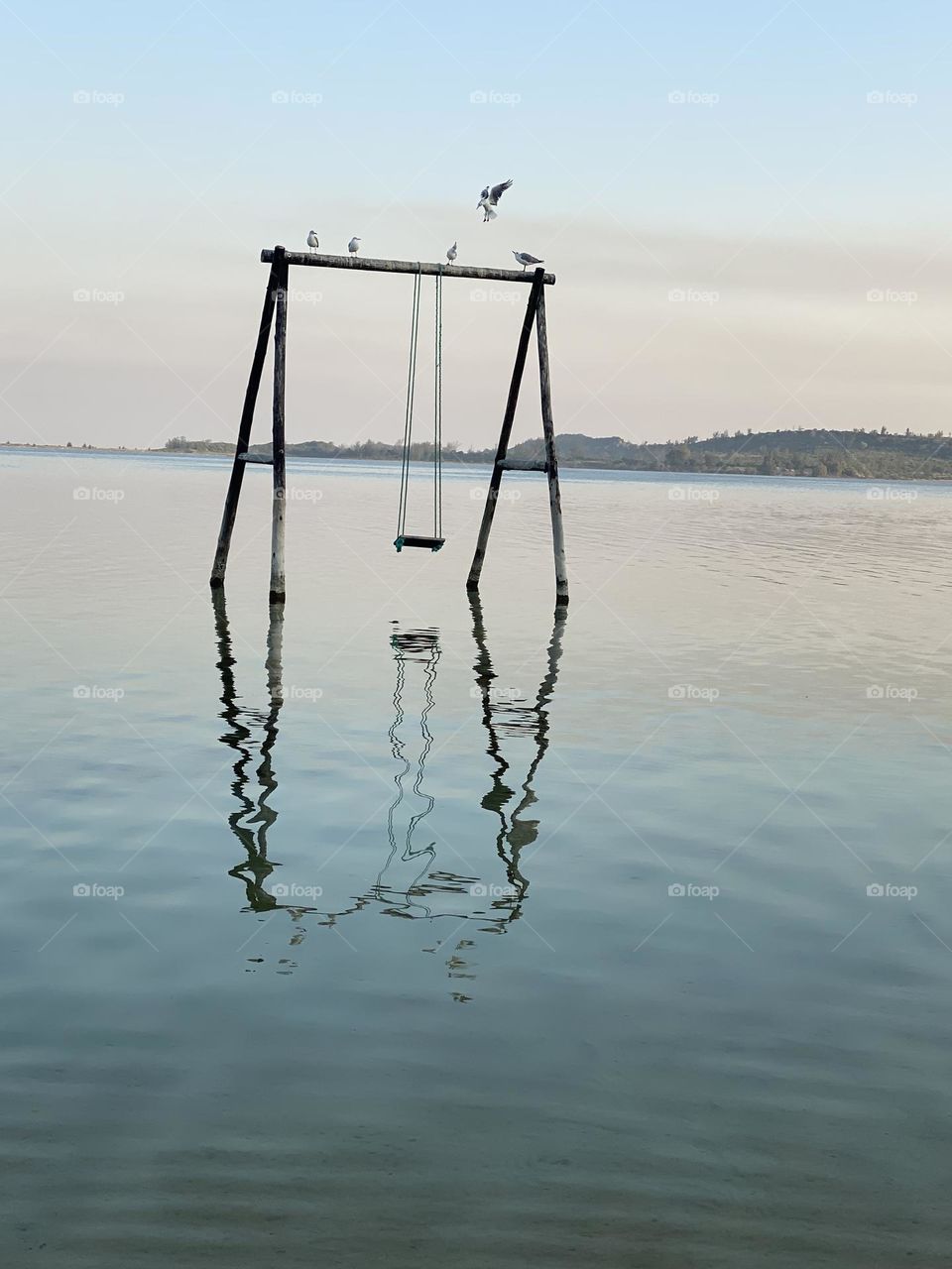 Swing in water with reflection, birds flying and sitting above. Beauty of life passing you by