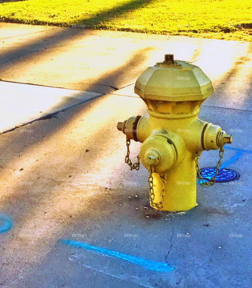 The Fire Hydrant