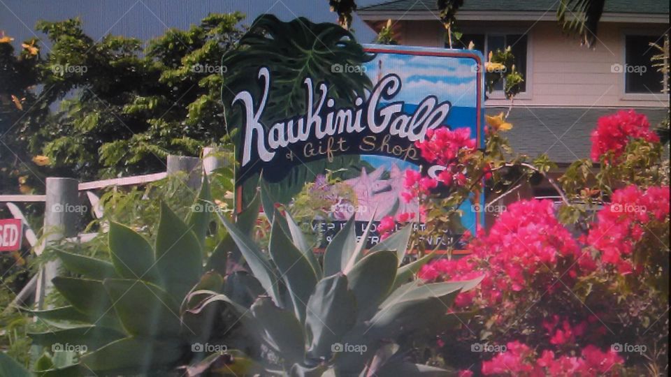Maui gift shop. My daughter and I driving around in Maui on vacation