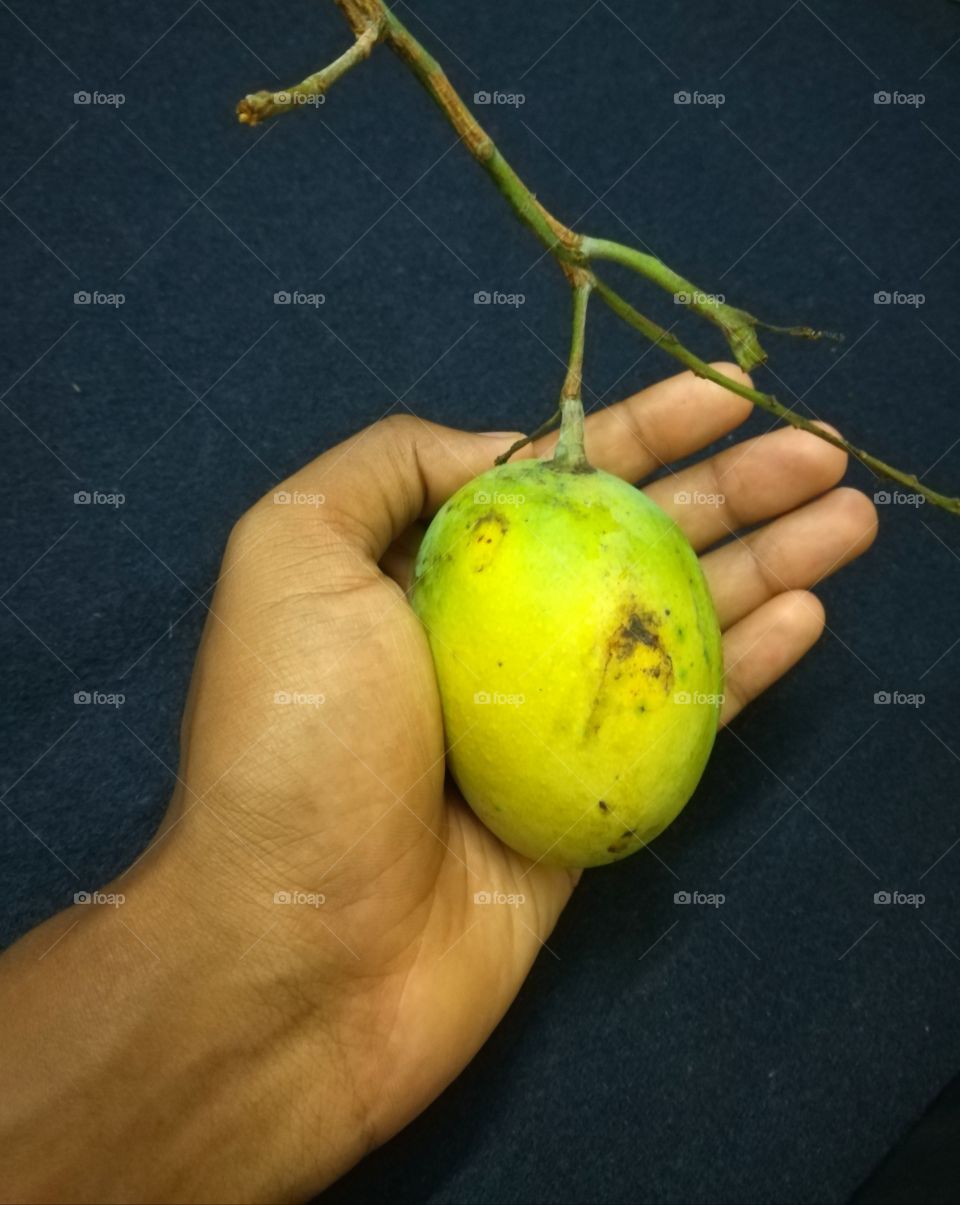 Mango