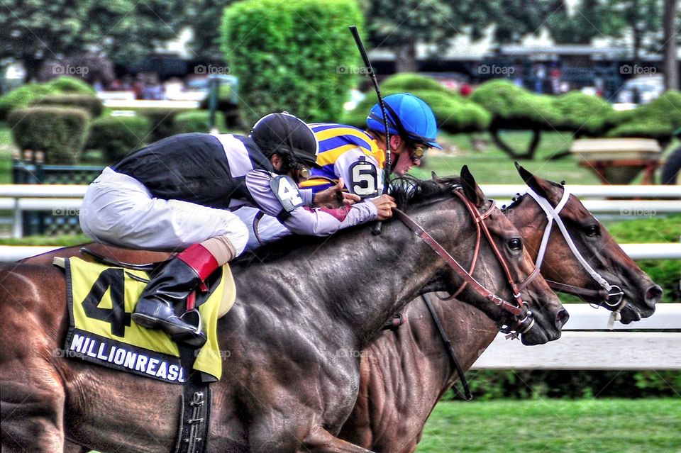 My Miss Aurelia. My Miss Aurelia winning the Schylurville stakes at Saratoga over Million Reasons Why. Leparoux noses out jockey Johnny V