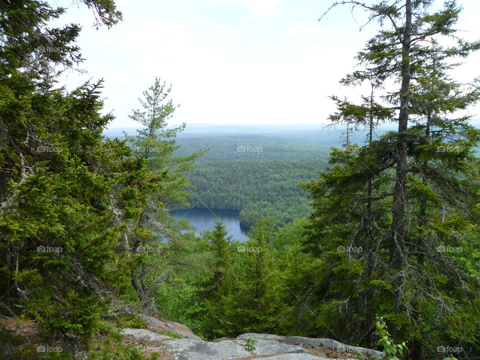 Mountain View . View from a mountain in Maine 