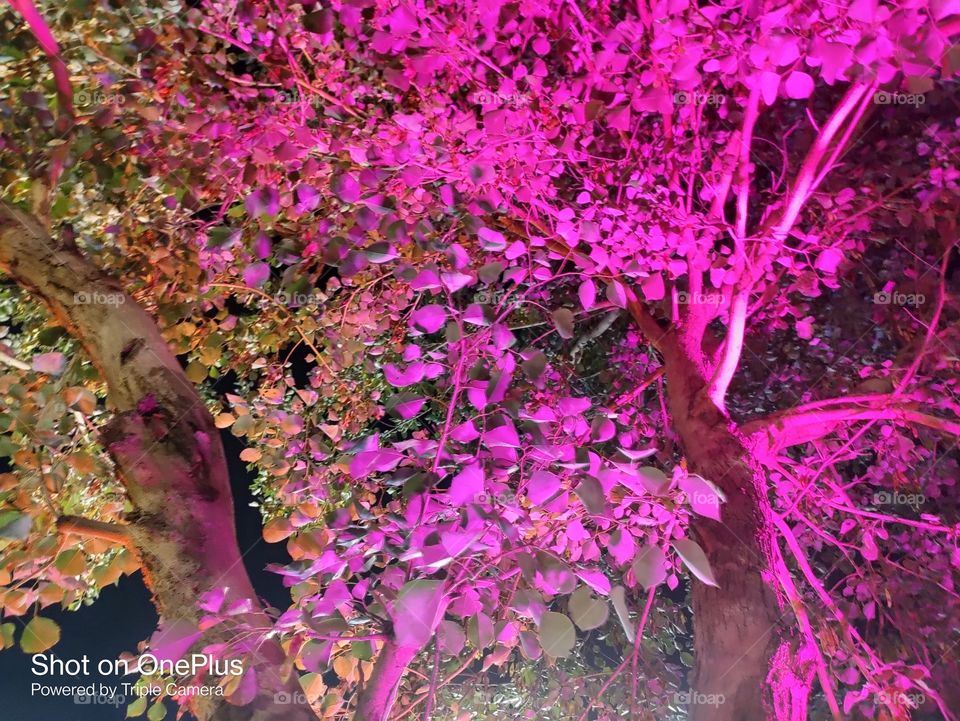 Editor choice, photo of the week