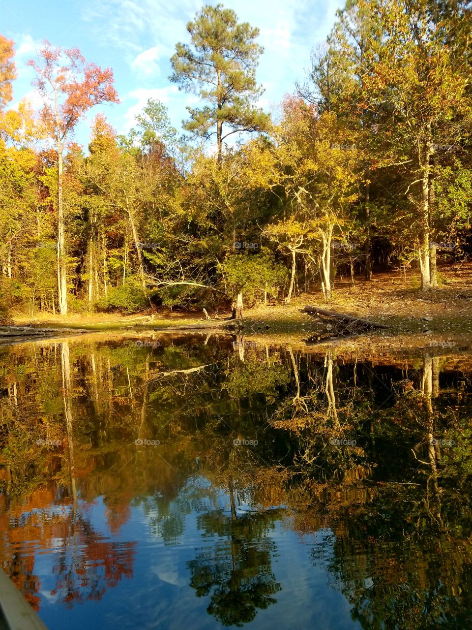 kayaking view of  shoreline in fall in late afternoon.