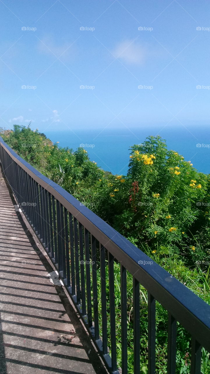 lovely sea view at lovers leap st elizabeth jamaica
