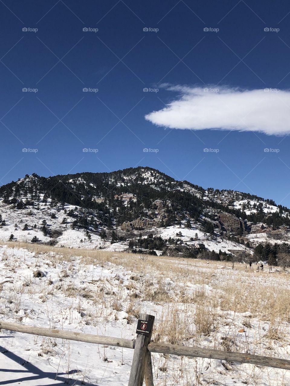 Colorado 