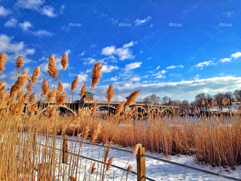 Winter harbour...