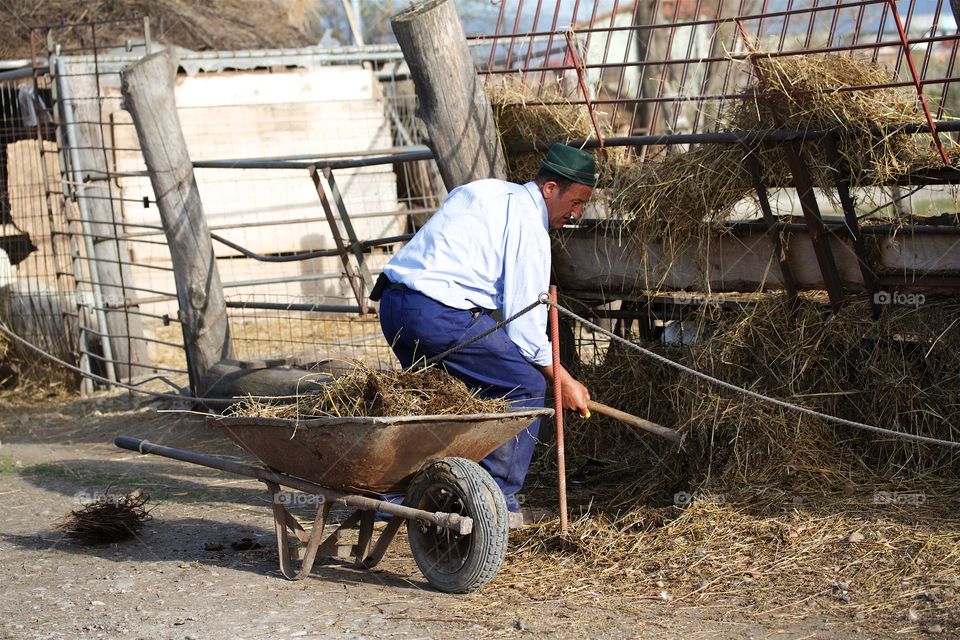 Farmer working with hay on a horse farm