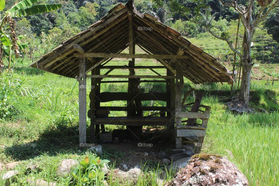 hut in the rice fields