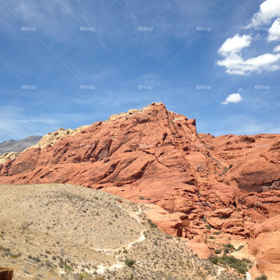 Red canyon 