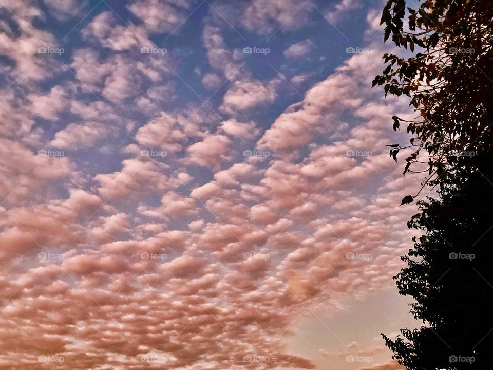 🌄🇺🇸 An extremely beautiful dawn in Jundiaí, interior of Brazil. Cheer the nature! / 🇧🇷 Um amanhecer extremamente bonito em Jundiaí, interior do Brasil. Viva a natureza! 