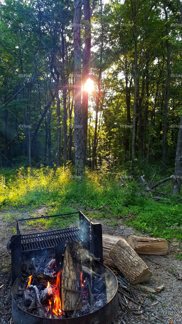 Fire ring at campsite in Morgan Monroe state park Indiana mid summer.