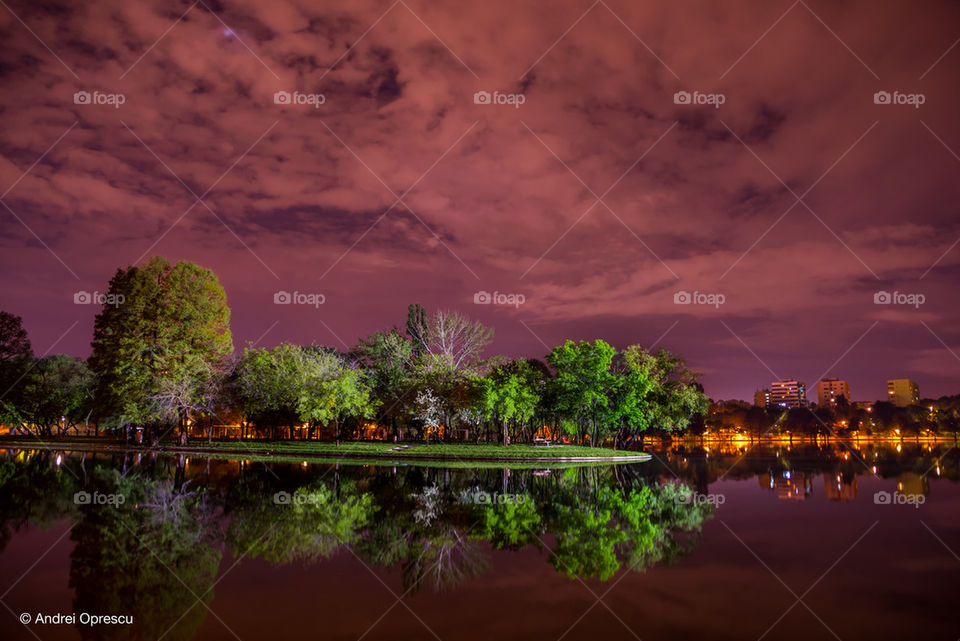 Reflection of trees in water