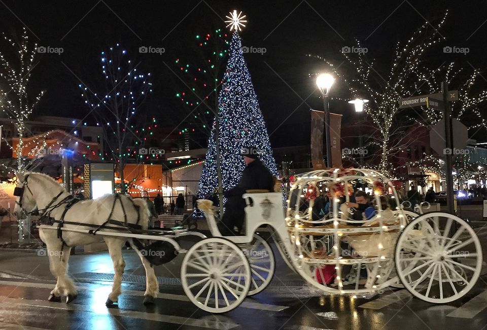 Last minute shopping and carriage ride. 