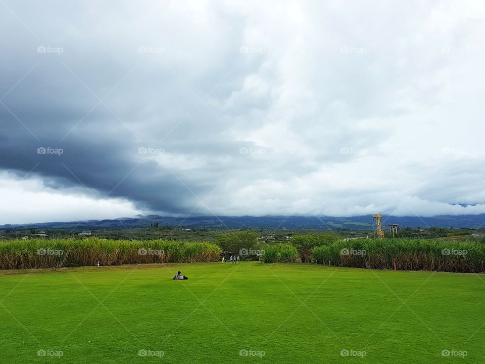 field on Haleakala