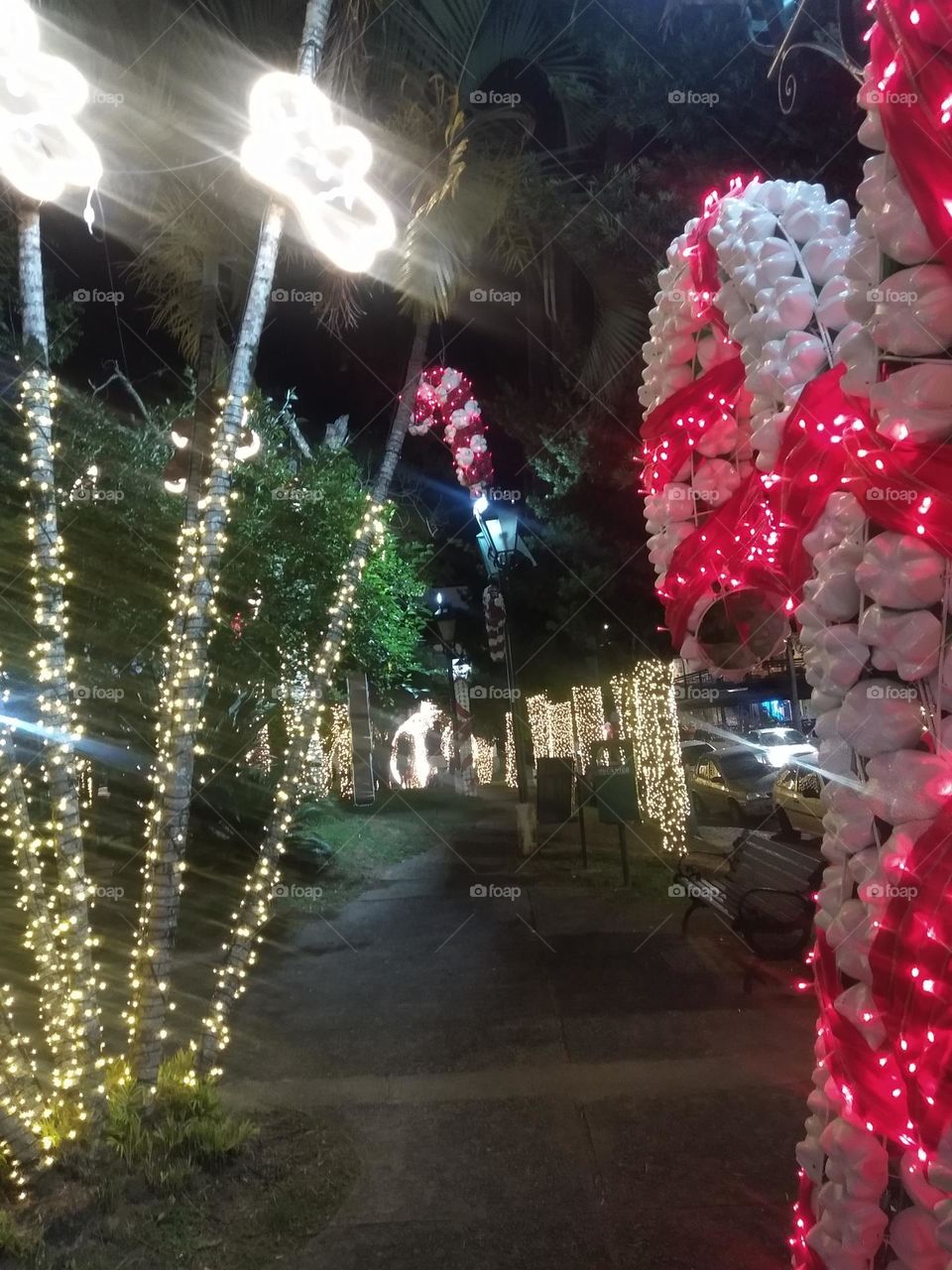 Natal