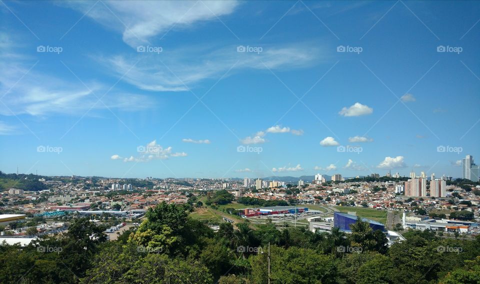 The blue and the green