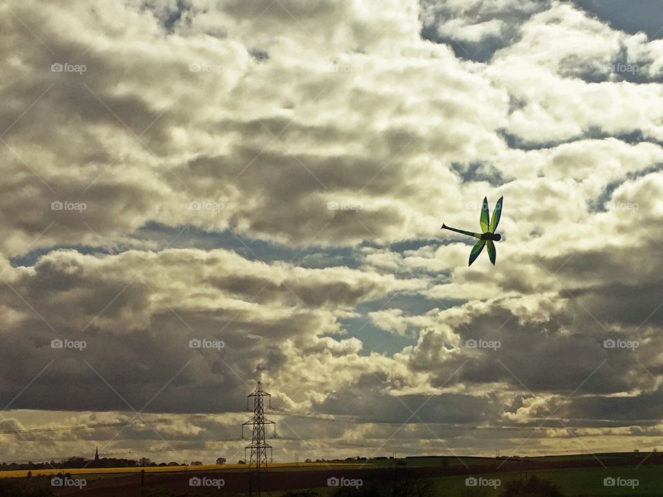 Dragonfly flying in the sky