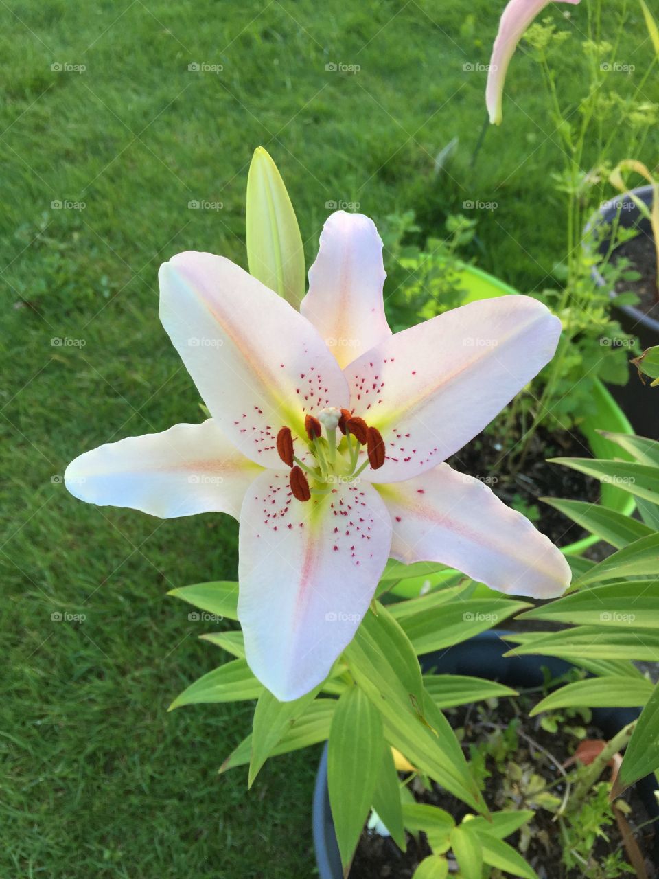 Symmetry everywhere 
This just opened today! 
It's perfect!