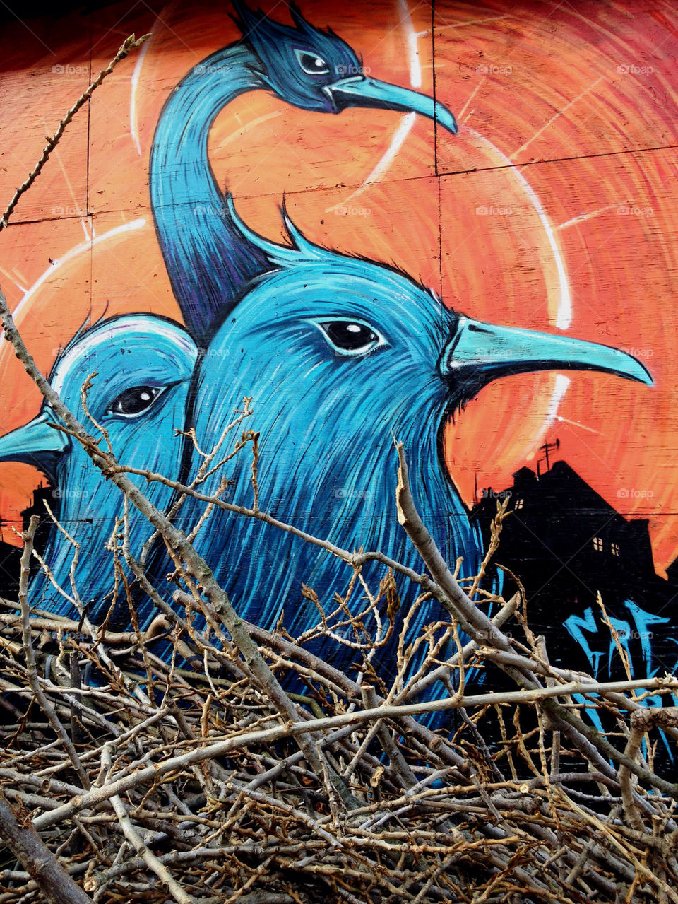 Graffiti birds