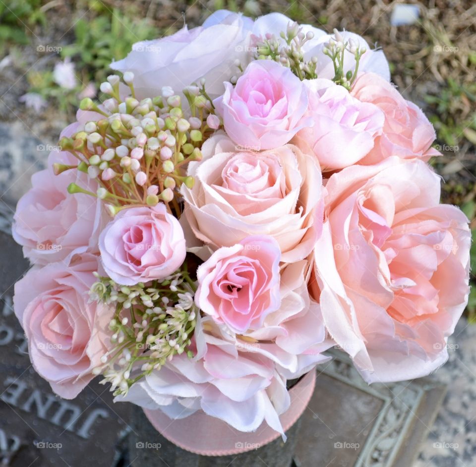 A closeup view of a bouquet of pink roses with white baby’s breath