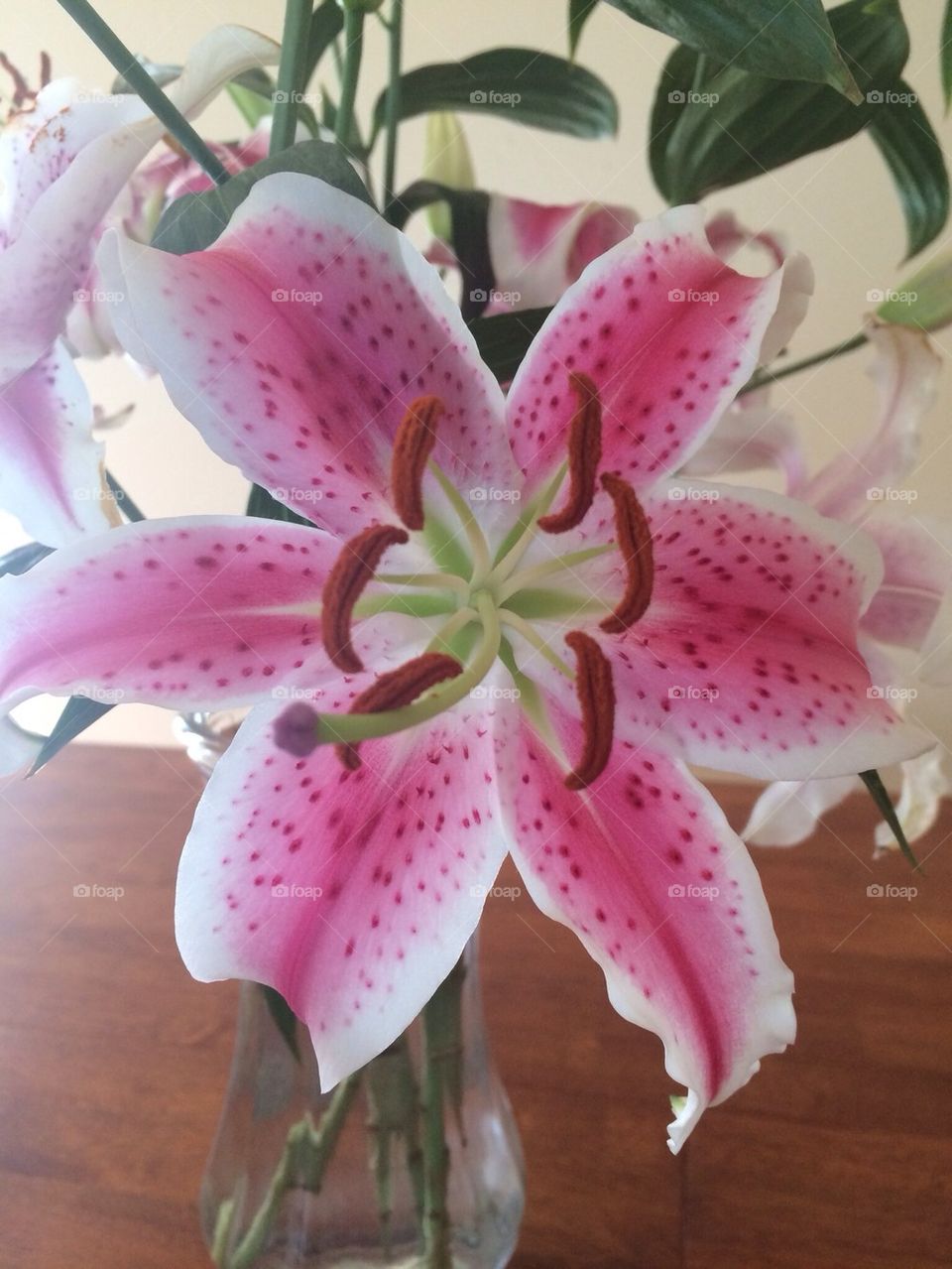 Lilies