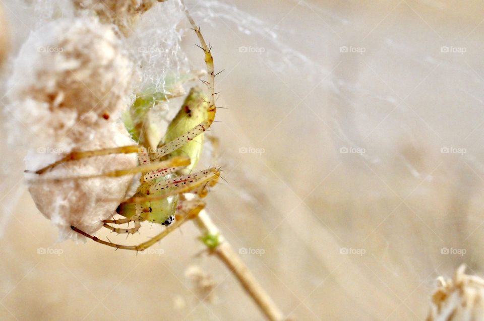 My babies are safe now 