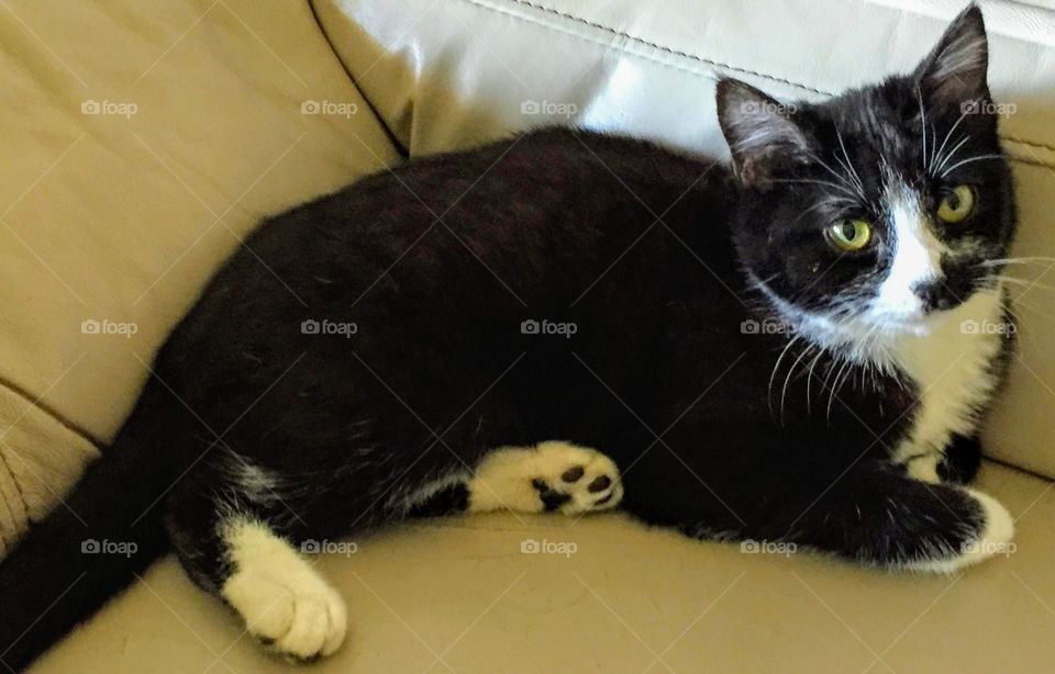 living BEAUTIFULLY & WONDERFULLY Made