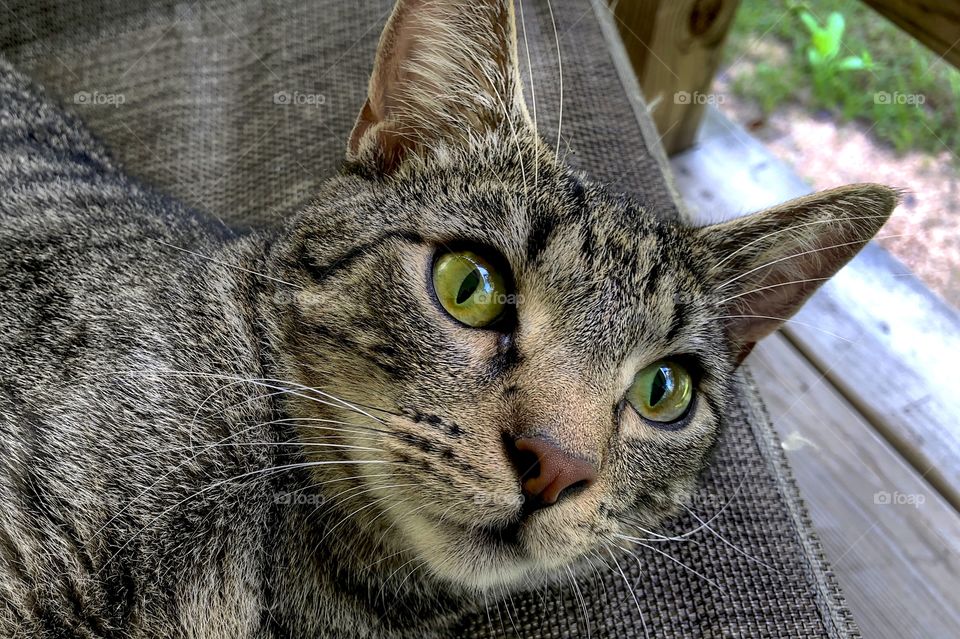 Benjamin Linus Relaxing