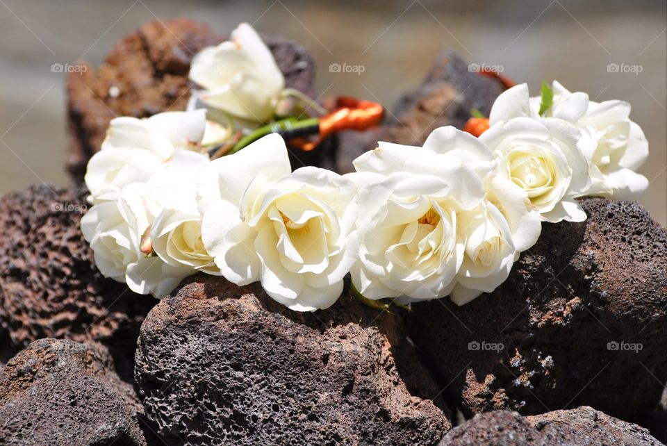 Beautiful white roses crown