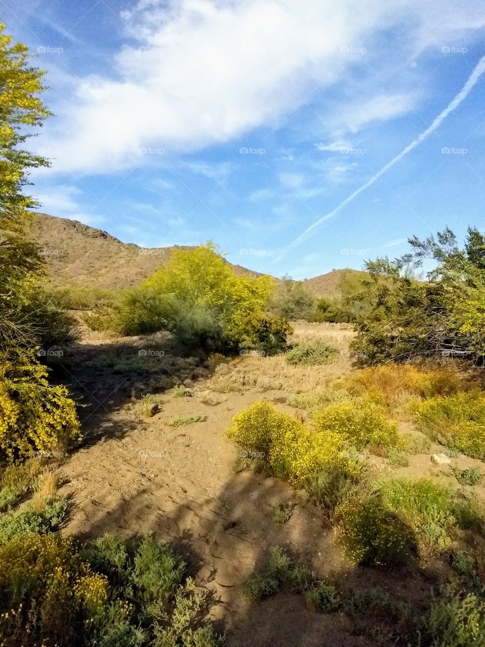 Scenic shot of mountains to deep gulley and  from blue sky to colors of life.