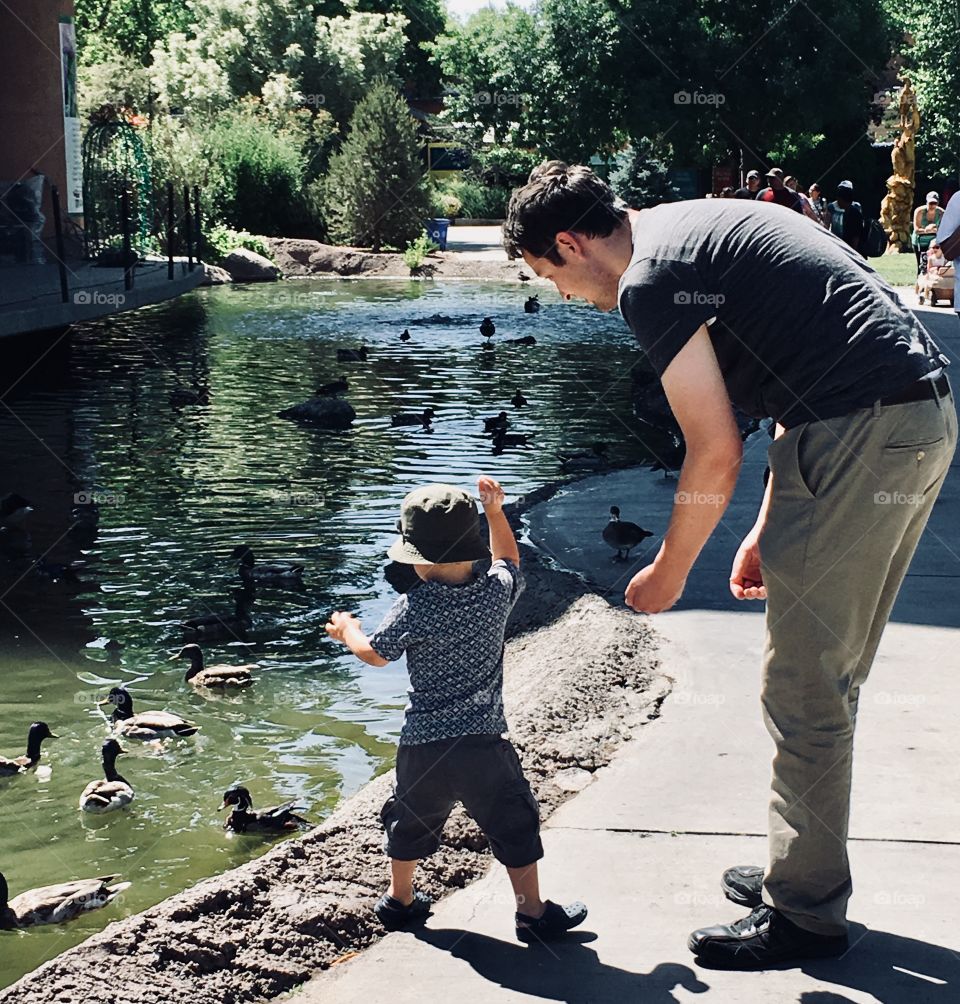 This little boy had never gotten to feed the ducks before. He got to spend a whole fun day at the zoo! Kids love animals!