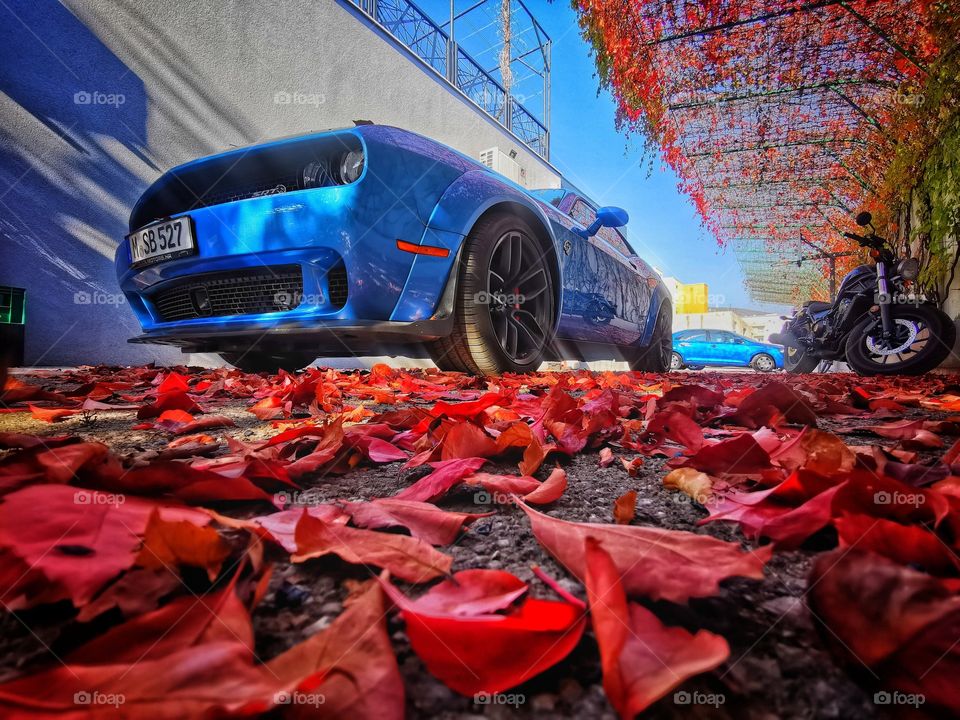 Dodge Challenger SRT Hellcat