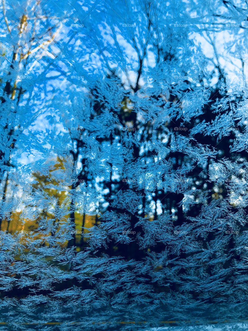 Icy morning 