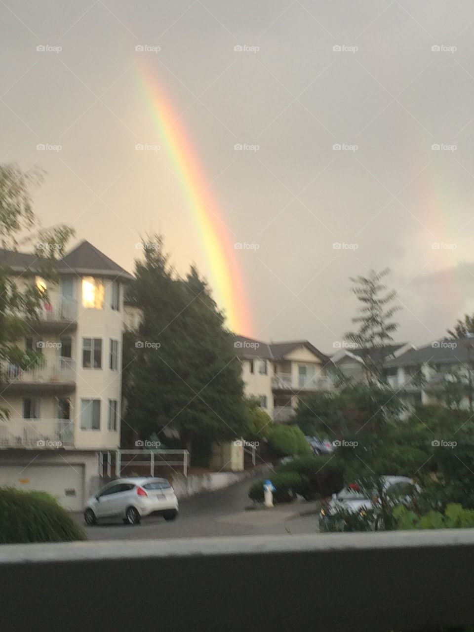 Rainbow 