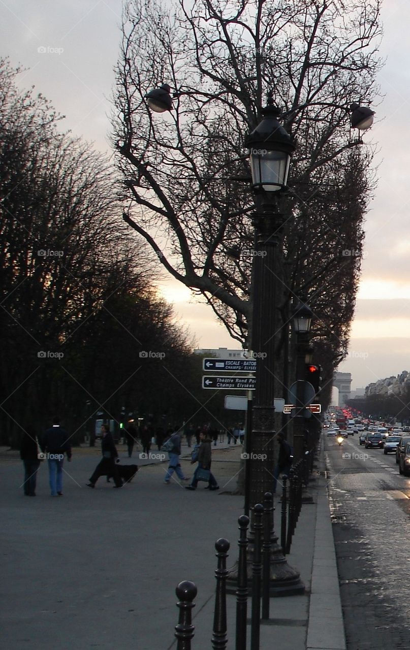 Early spring in Paris 