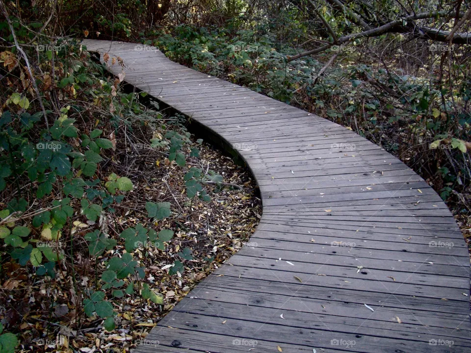 Path