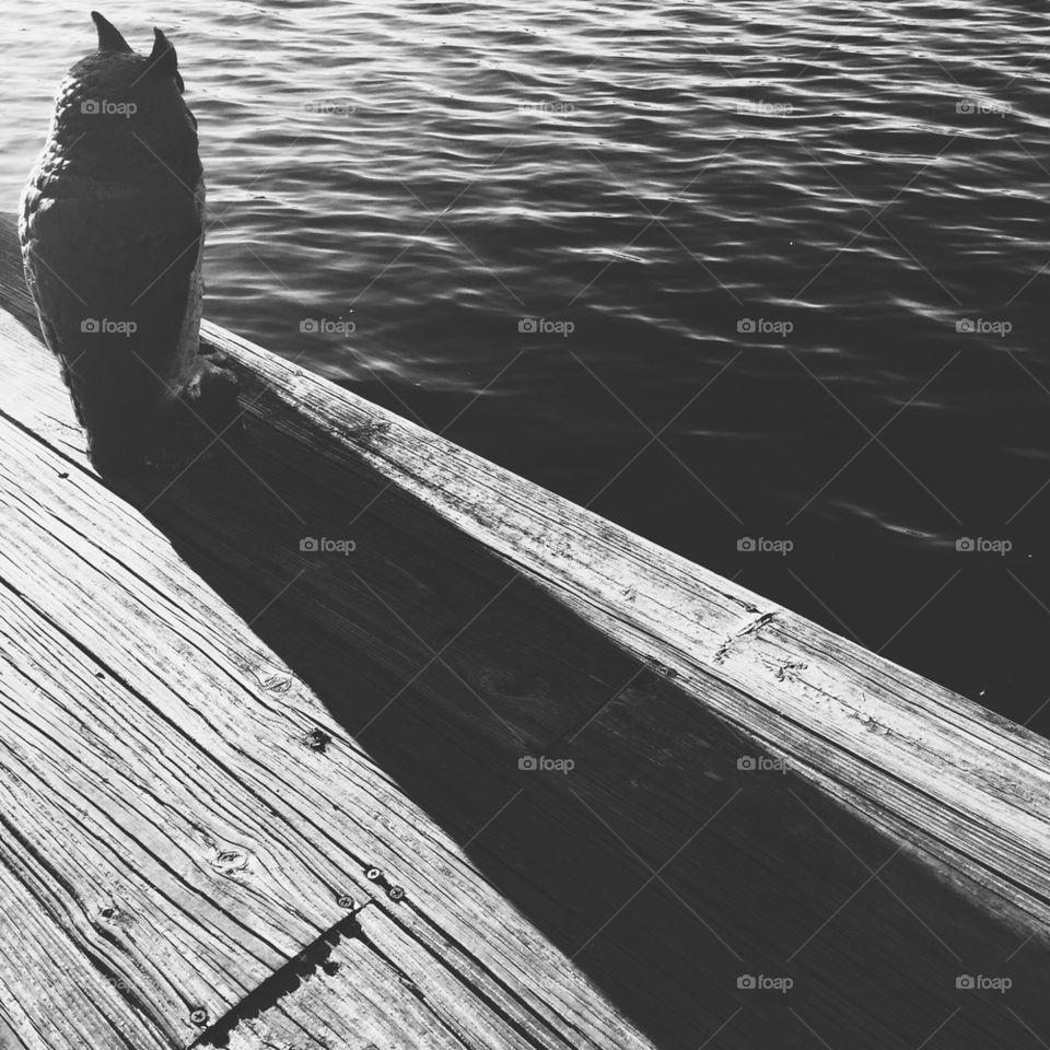 Shadow on the dock