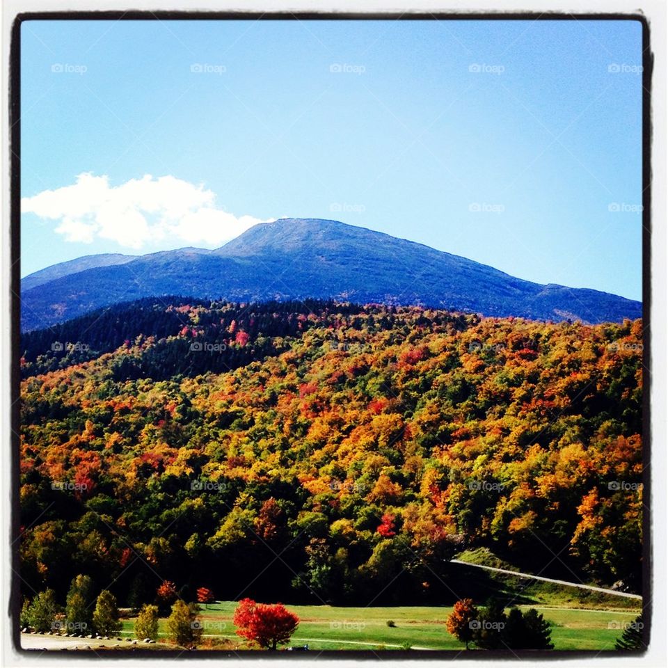Autumn in NH 