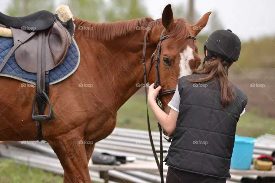 Horses