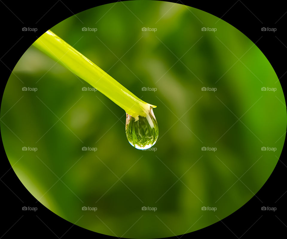 Water drop on green grass and all around black boader