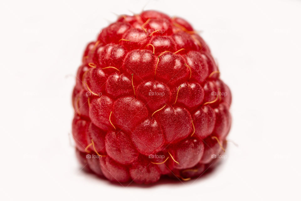 Macro shot of a fresh raspberry