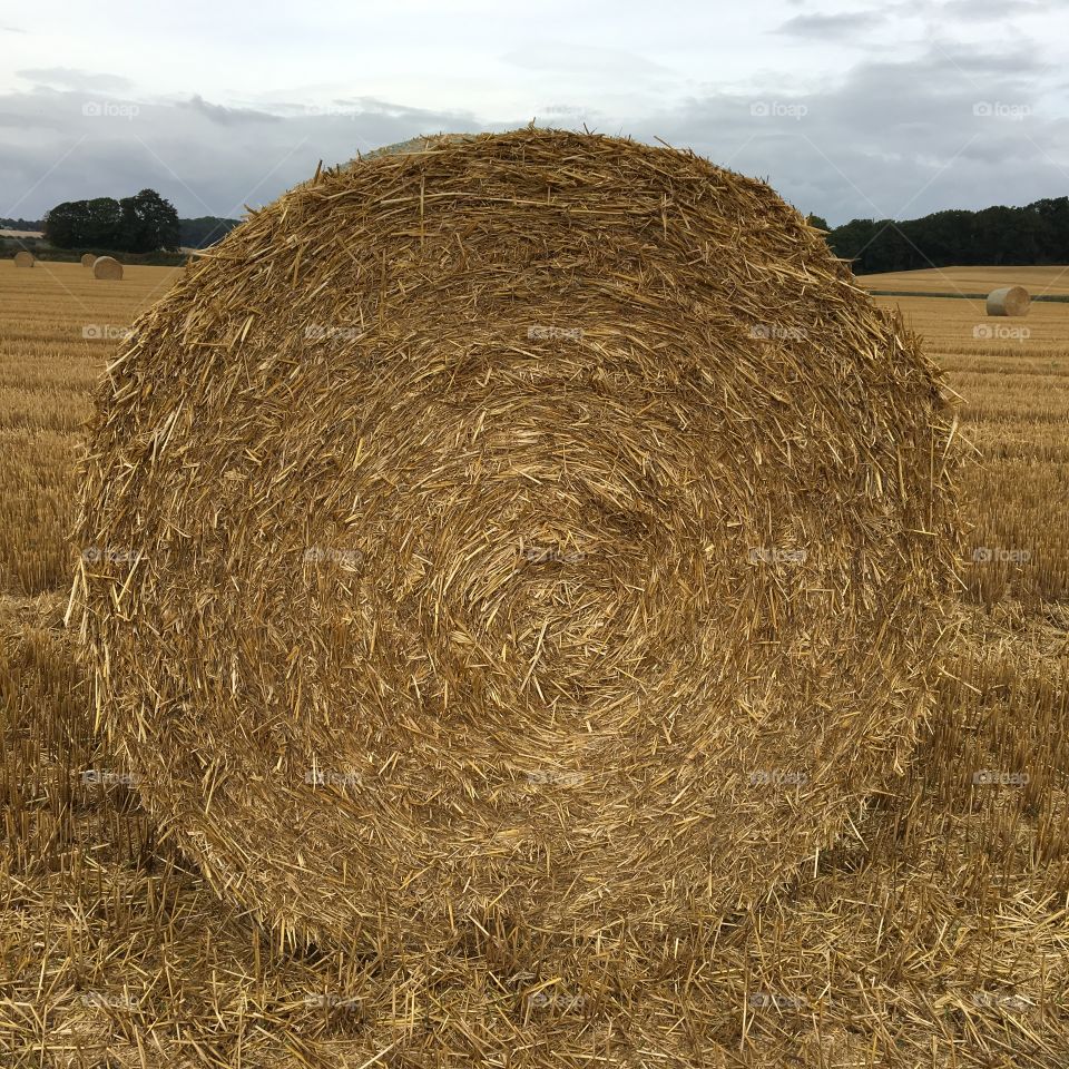 Close up of a bale of hay in a farmers field 