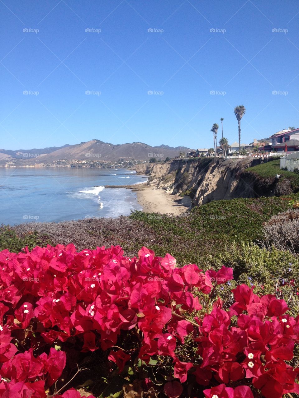 Summer Breeze . "Makes me feel fine" Avila Beach California 