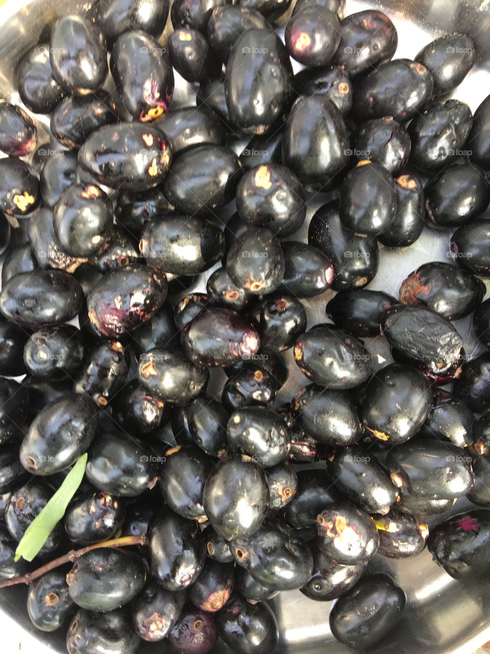 Jamun